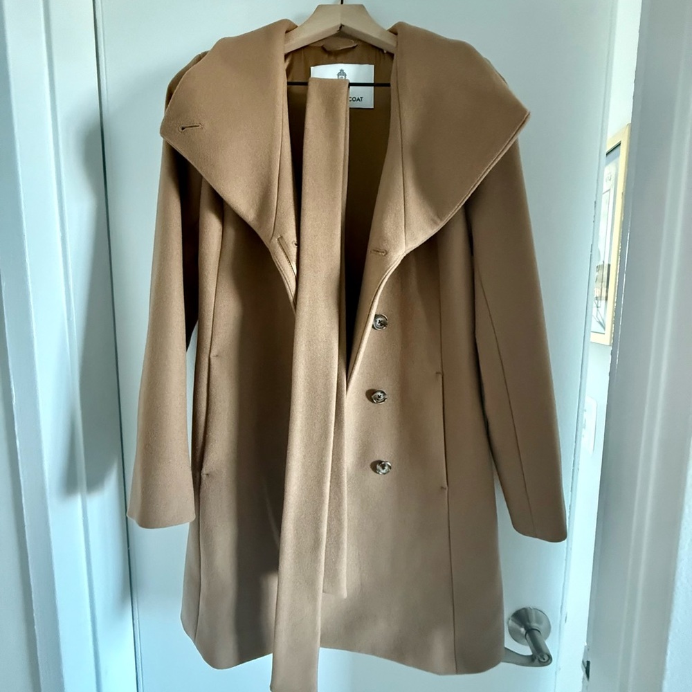 Aritzia Babaton The Connor Coat